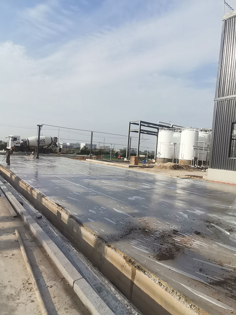 市政道路園林綠化工程